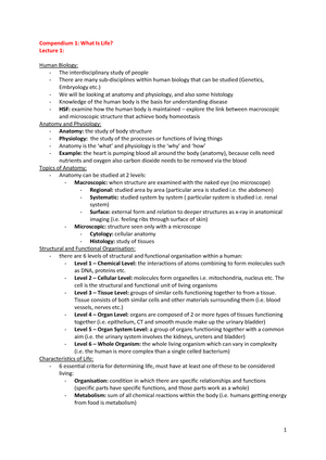 Sample Outline - PSYC2001 Social Psychology Assignment 2 Sample Outline ...