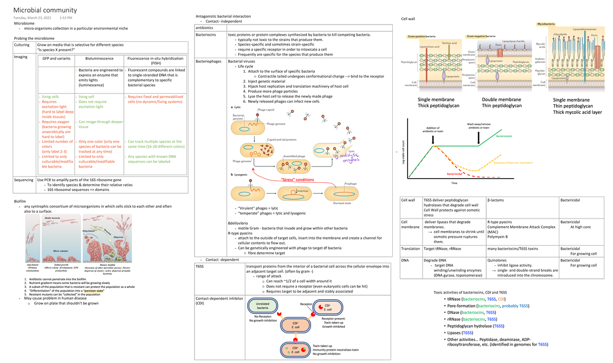 Microbial community - Microbiome - micro-organisms collection in a ...