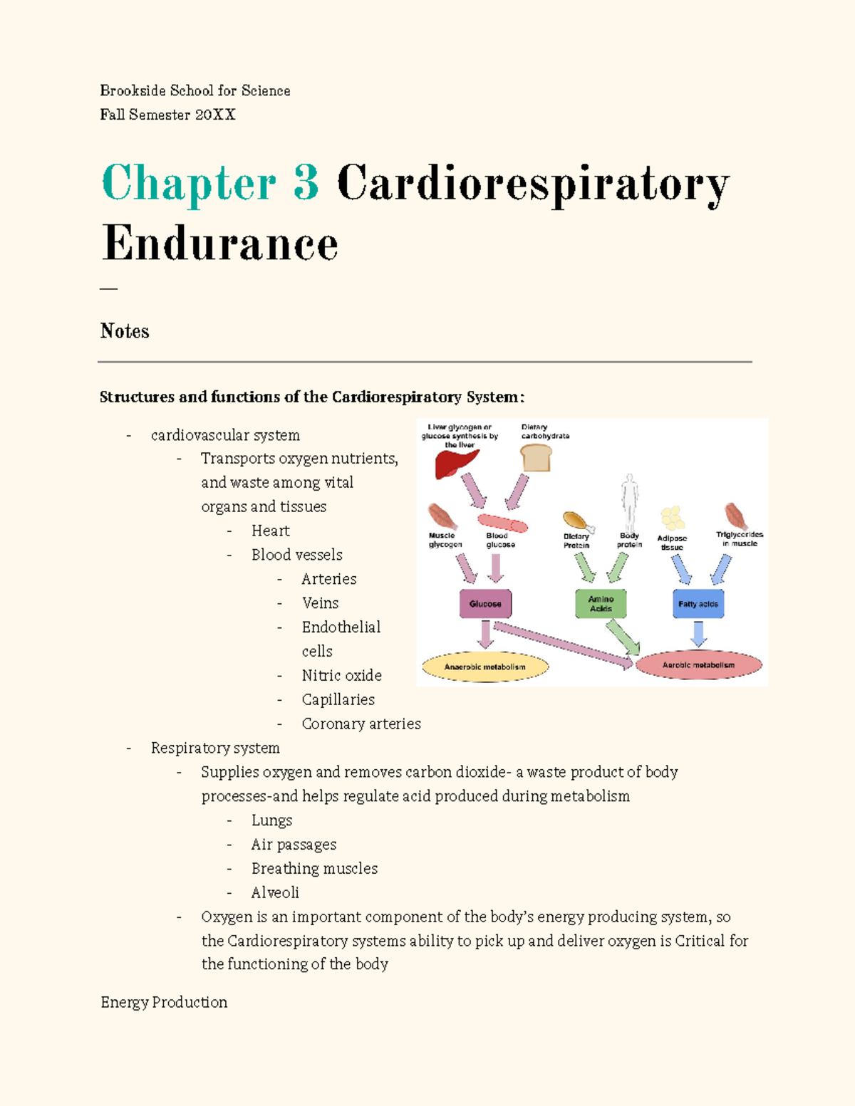 Ch. 3 Cardiorespiratory endurance - Brookside School for Science Fall ...