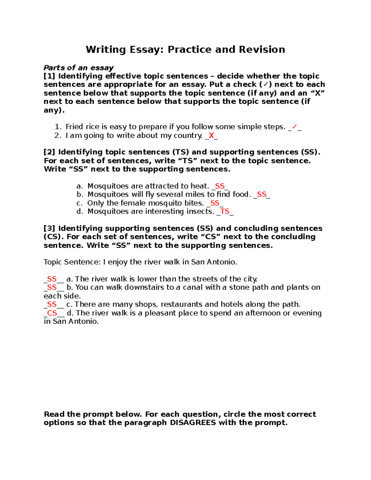 writing essay practice pdf