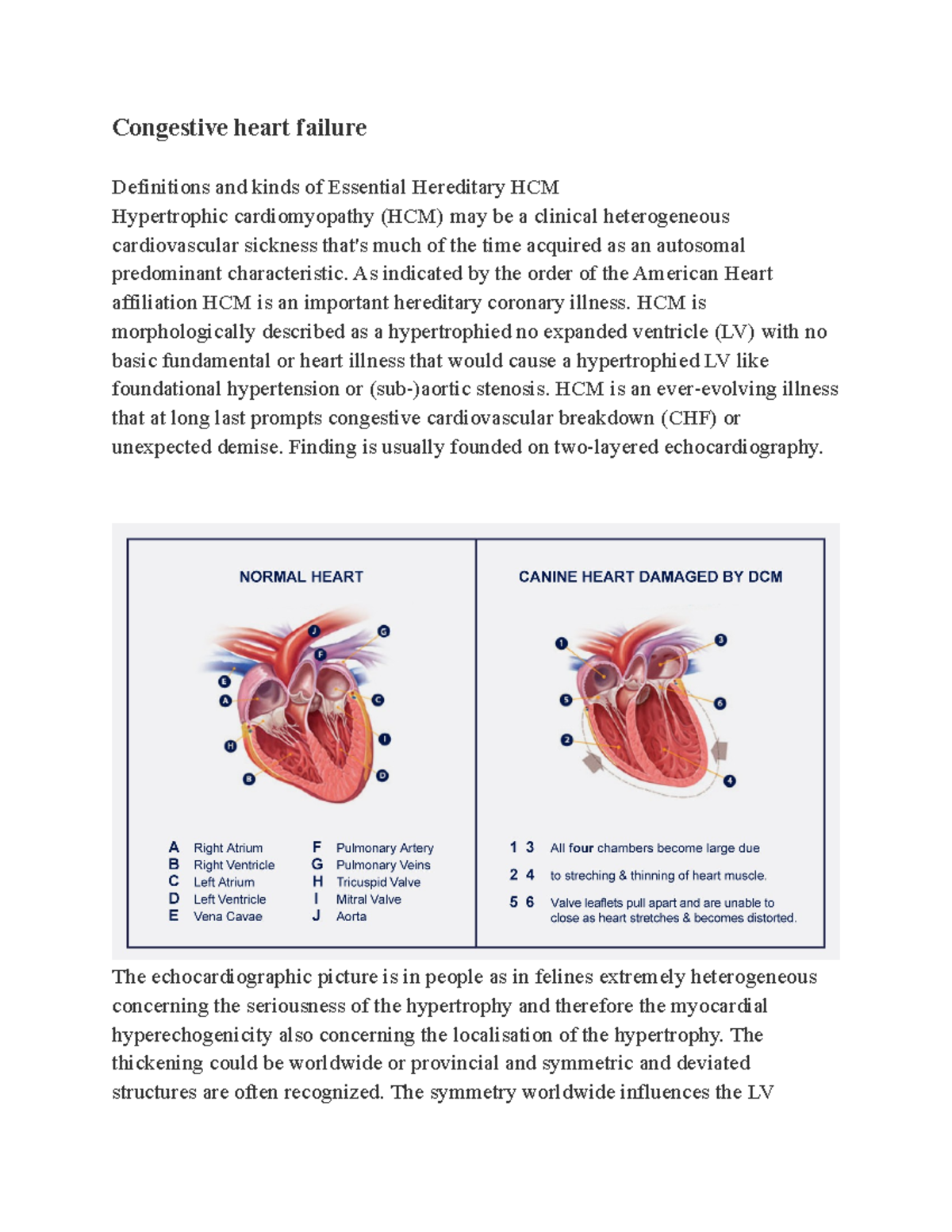 Congestive Heart Failure - Congestive Heart Failure Definitions And ...