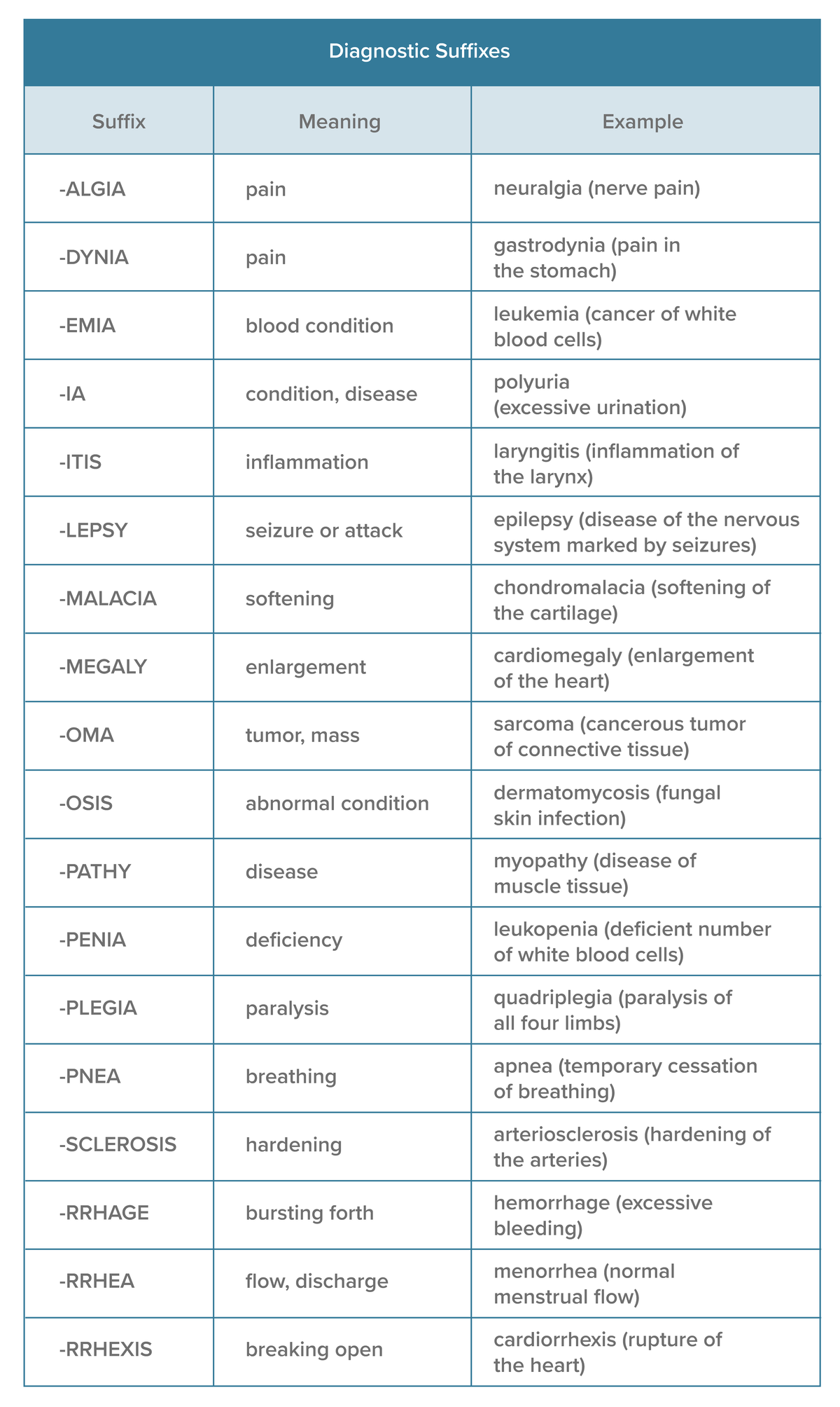 diagnostic-suffixes-notes-algia-dynia-emia-ia-itis-lepsy