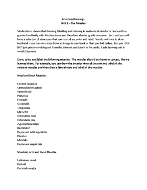 Bone Tissue Lecture guide - Bone Tissue Lecture Guide Name at least ...