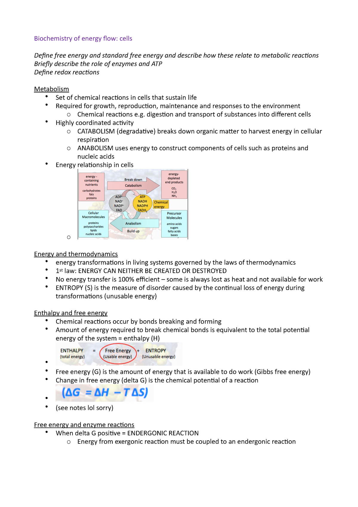 bio 1 8 assignment energy flow