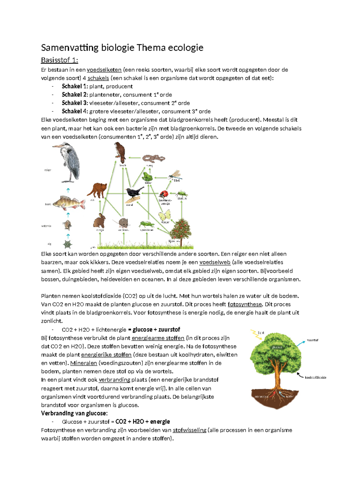 Samenvatting Biologie Thema Ecologie - Samenvatting Biologie Thema ...