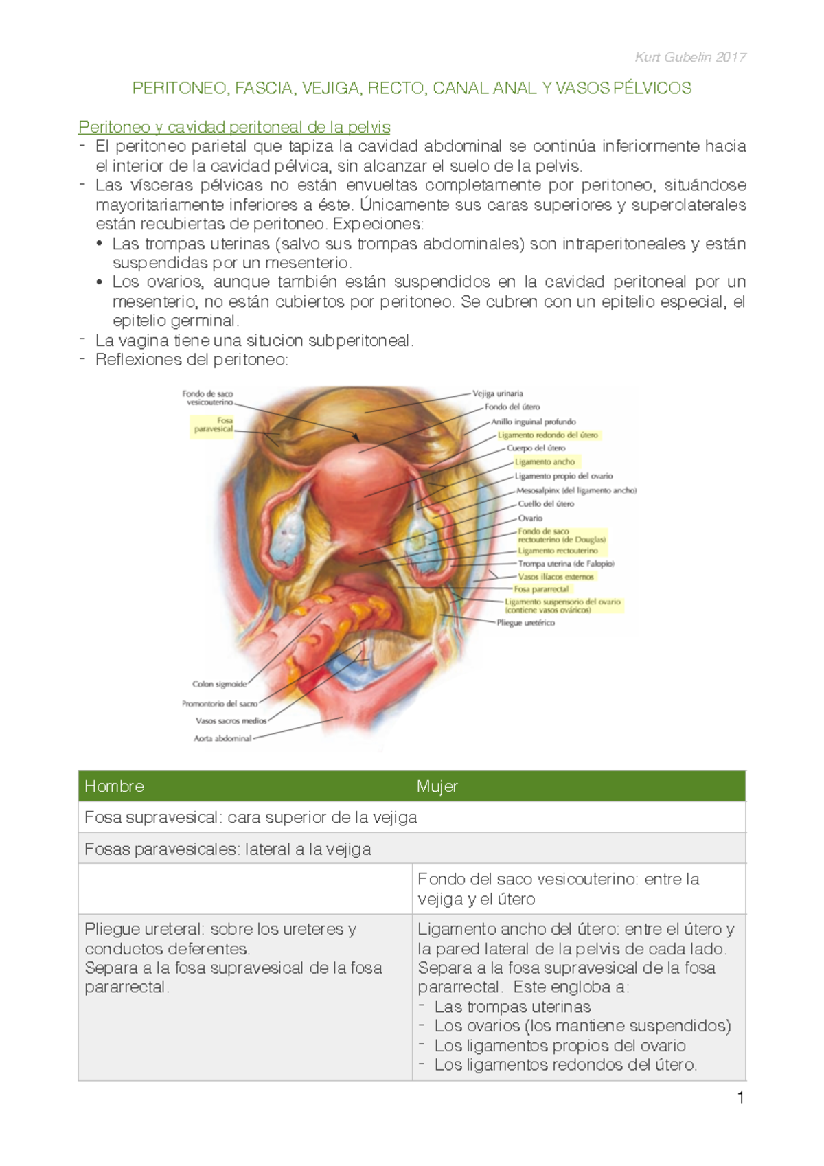 fosa pararrectal