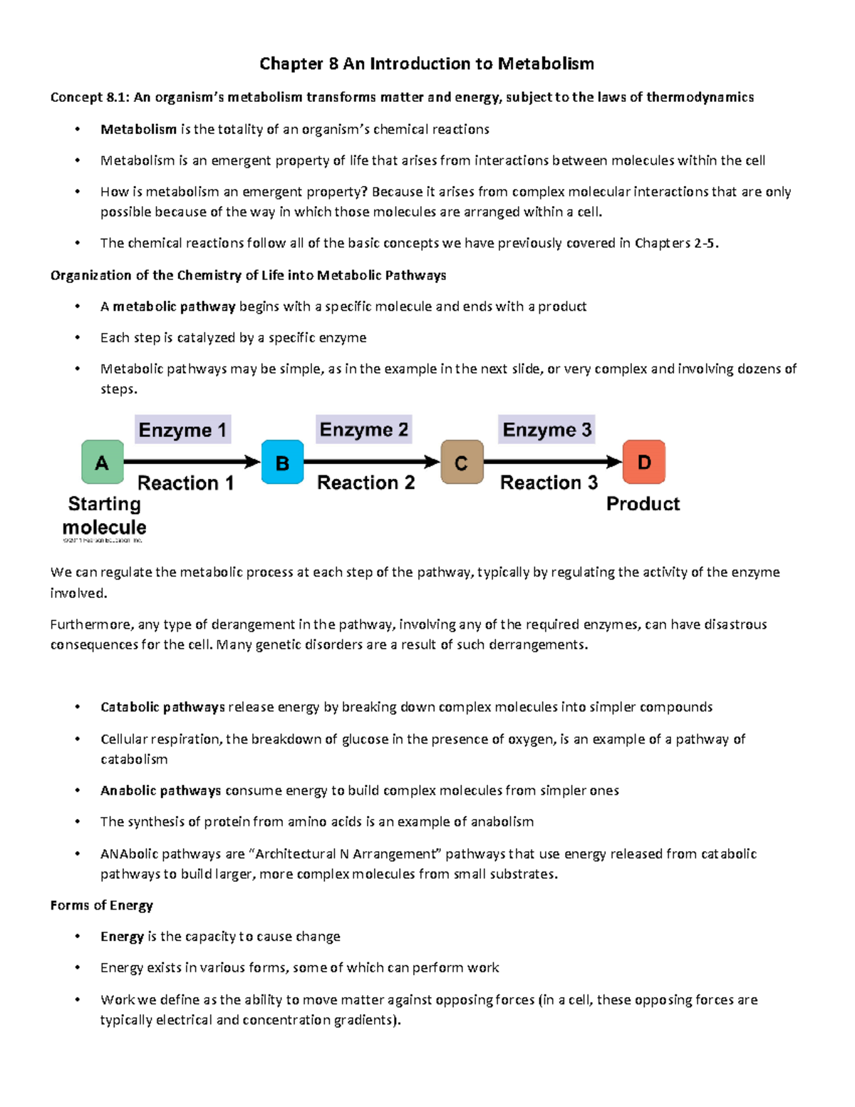 Chapter 8 An Introduction to Metabolism - Chapter 8 An Introduction to ...