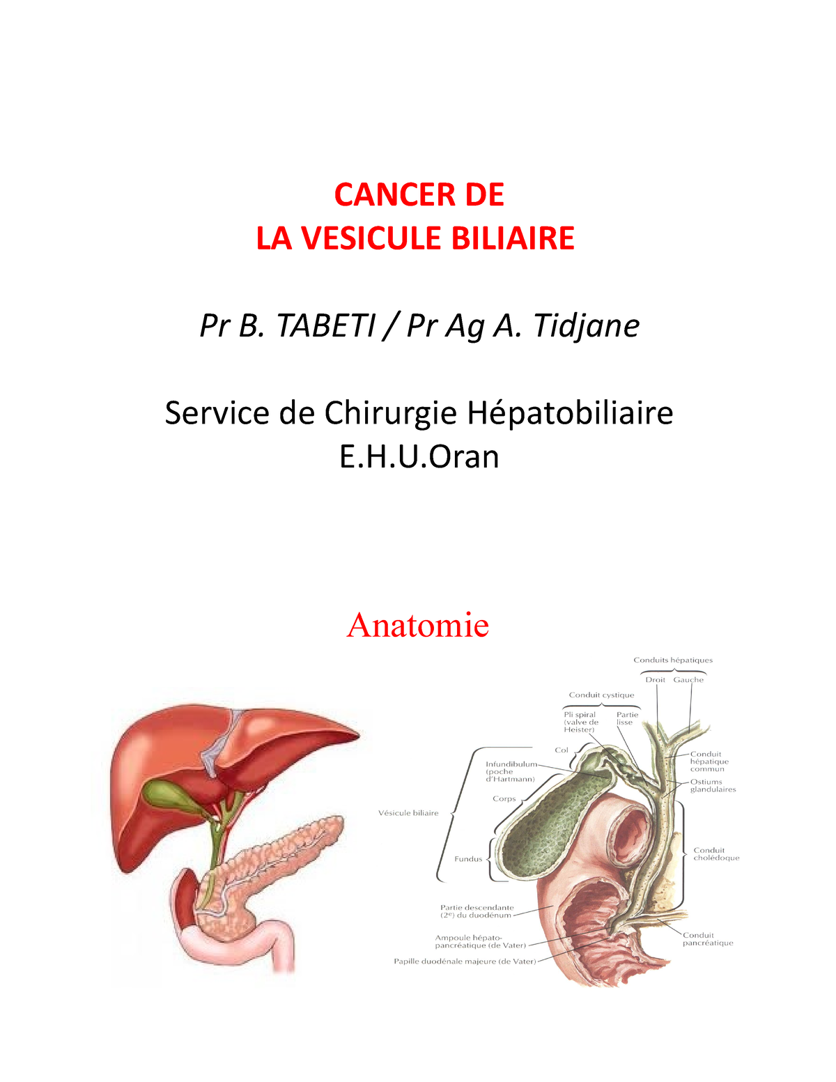 Cancer DE LA Vesicule Biliaire - CANCER DE LA VESICULE BILIAIRE Pr B ...