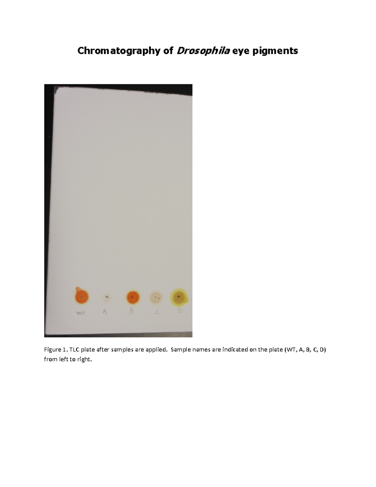 Thin Layer Chromatography (TLC) for Chromatography of