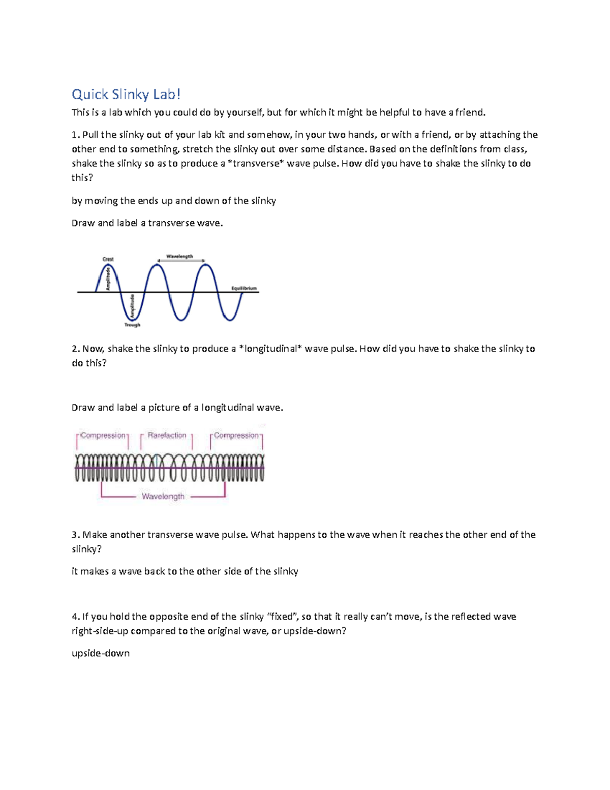 Slinky Lab Quick Slinky Lab! This is a lab which you could do by