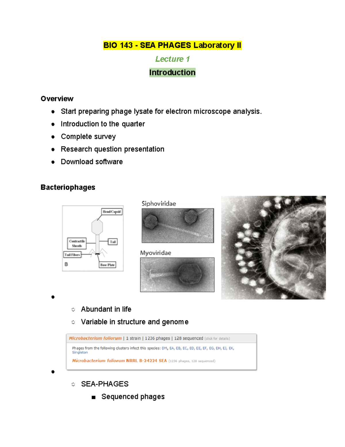 BIO 143 Lecture 1 Winter 2019 BIO 143 SEA PHAGES Laboratory II BIO 143 Lecture 1 Winter 2019 BIO 143 SEA PHAGES Laboratory II