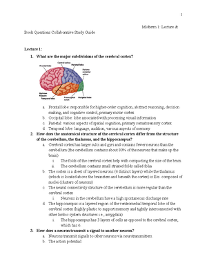 Public Policy 101 Midterm Study Guide - Congestion pricing of roadways ...