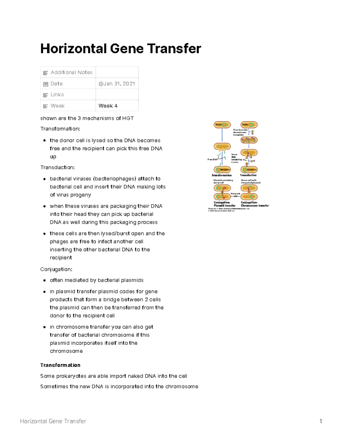 Horizontal Gene Transfer - Horizontal Gene Transfer Additional Notes ...