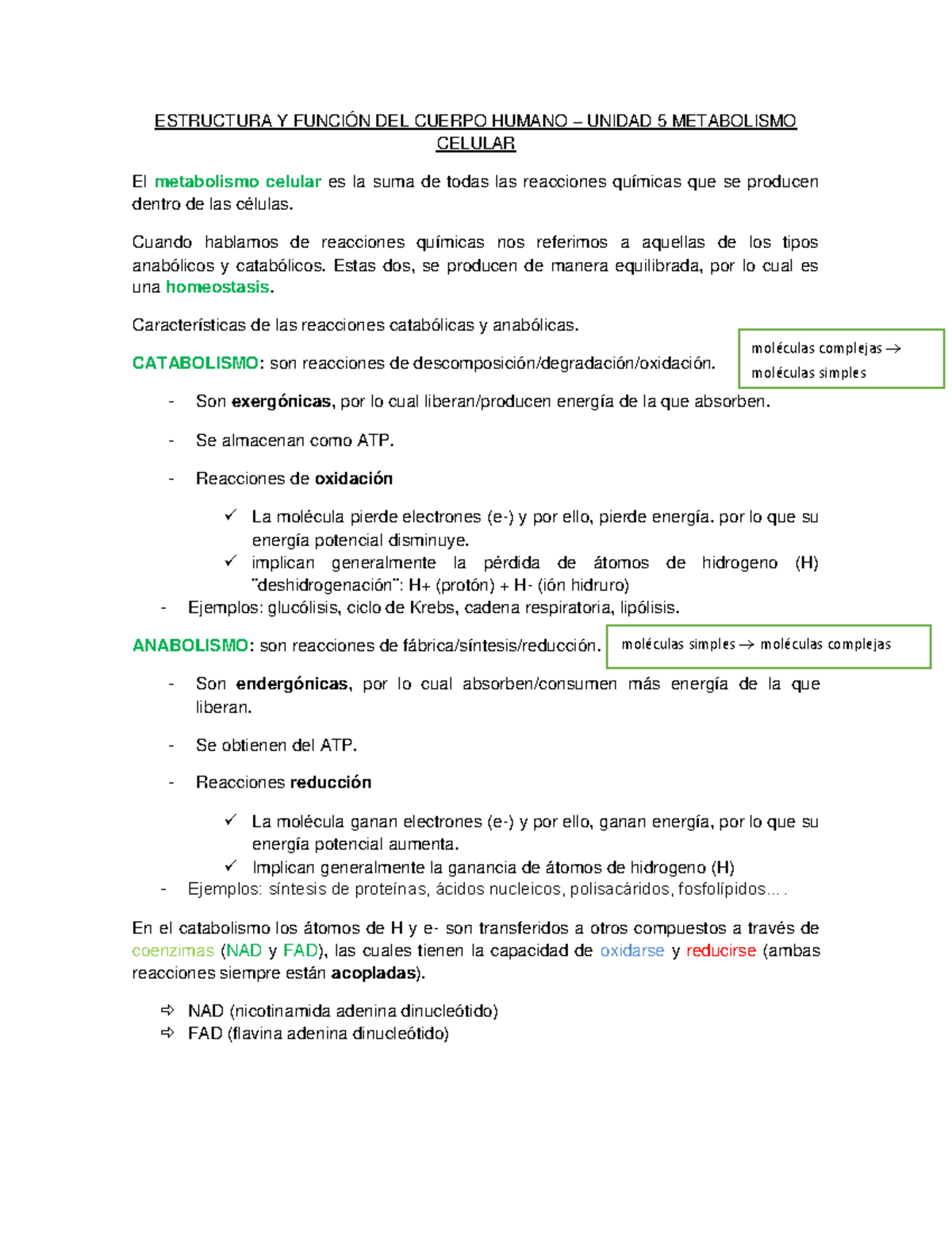 Unidad Resumen Estructura Y Funcion Del Cuerpo Humano Estructura Y Funci N Del Cuerpo