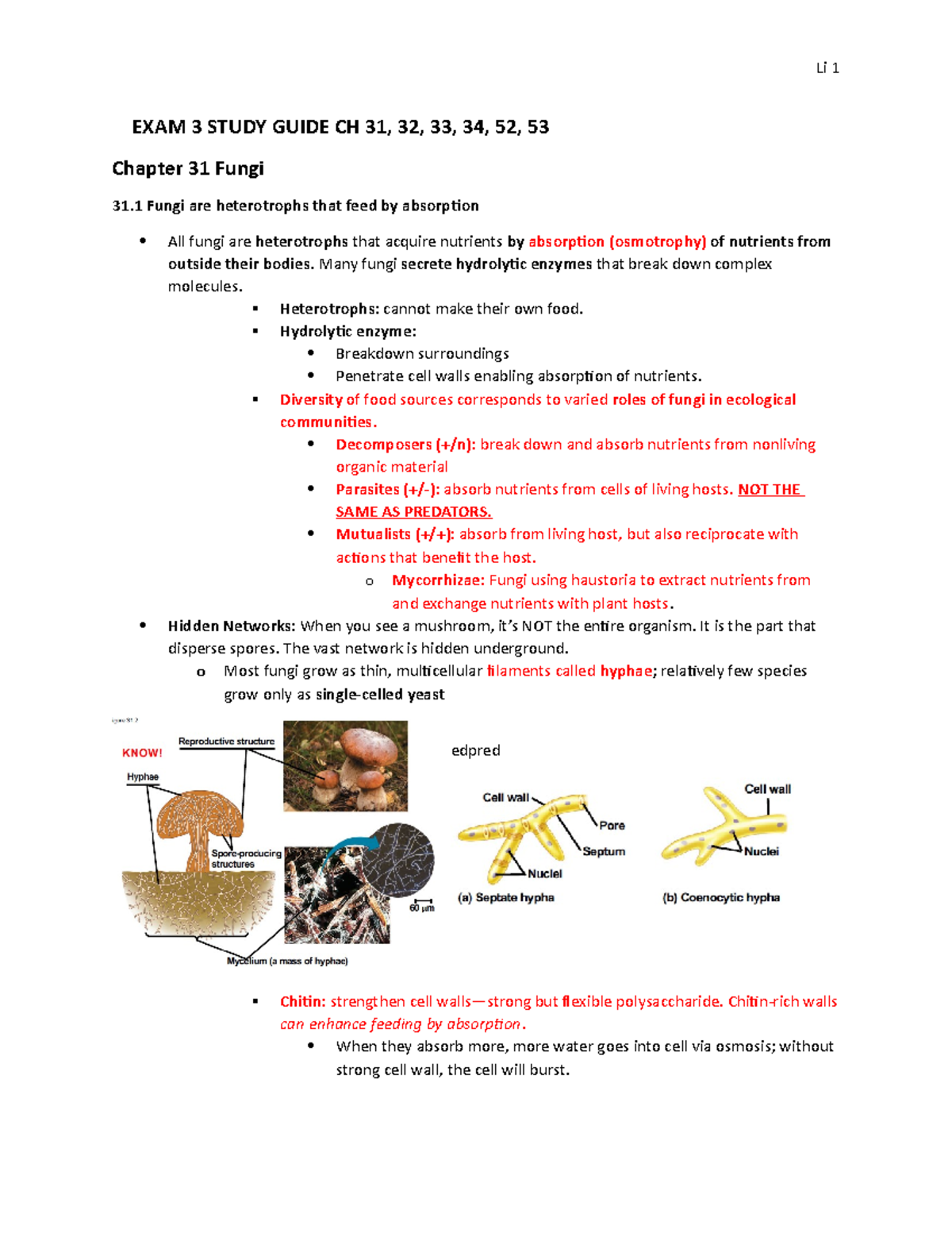 BIL 160 Study Guide Exam 3 - EXAM 3 STUDY GUIDE CH 31, 32, 33, 34, 52 ...