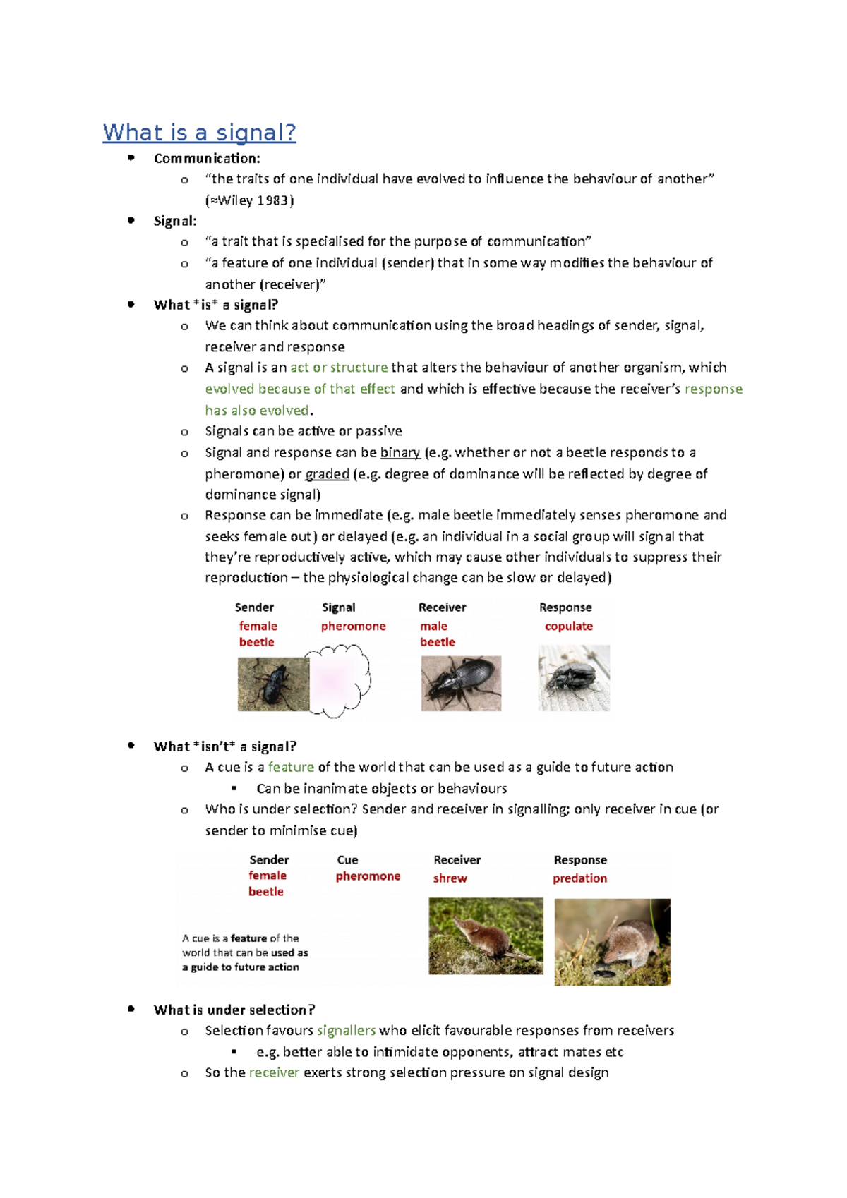 communication-and-signalling-what-is-a-signal-communication-o-the