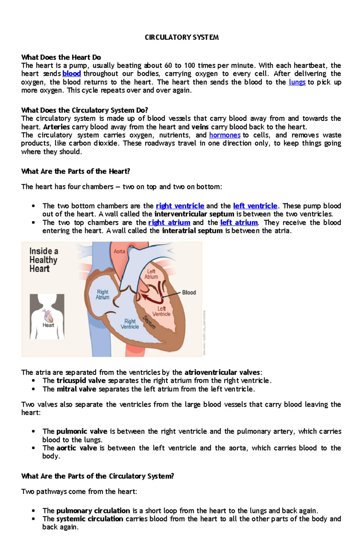 Circulatory- System - CIRCULATORY SYSTEM What Does the Heart Do The ...