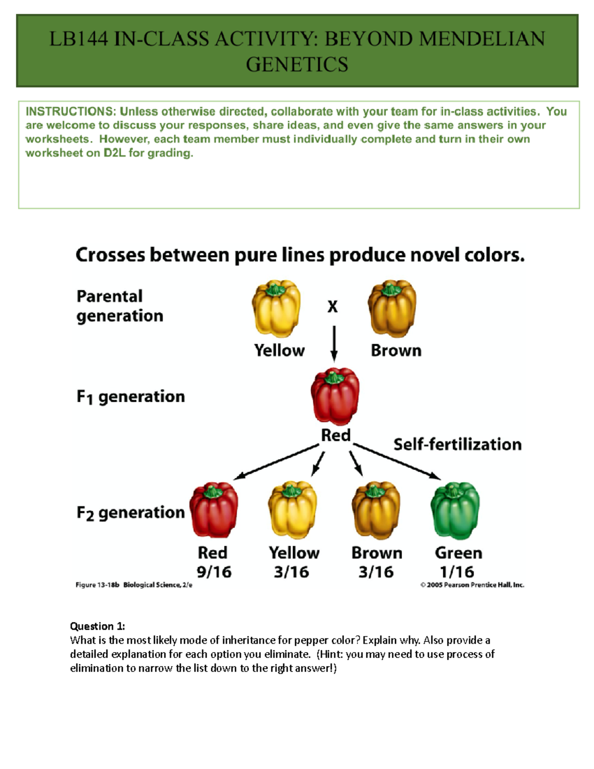 In Class Activity - Beyond Mendelian Genetics - Question 1: What Is The ...