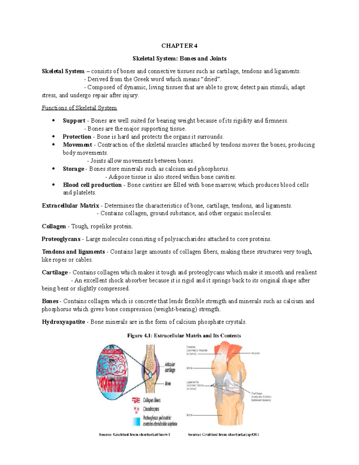 MTBio 1Lesson 4 - BSMT - CHAPTER 4 Skeletal System: Bones and Joints ...