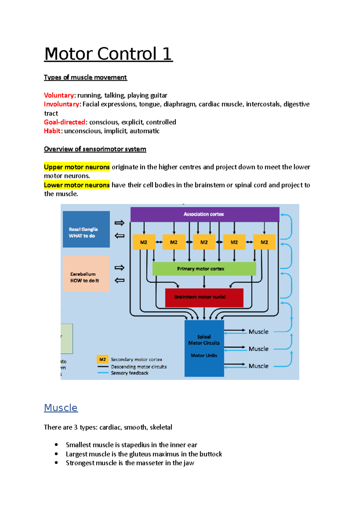 Motor Control 1 Medicine 1st year notes Motor Control 1 Types of