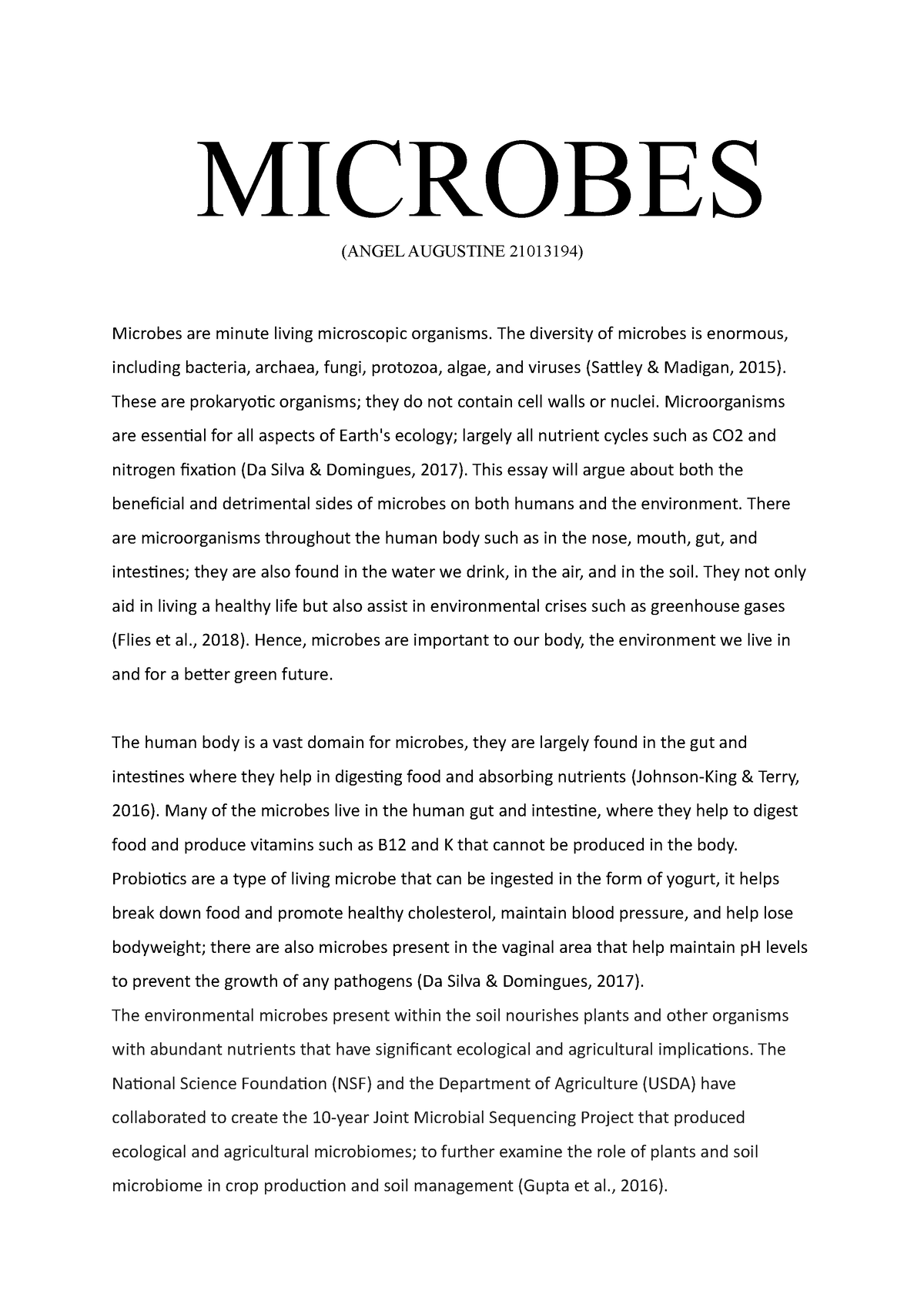 essay on what is microbes