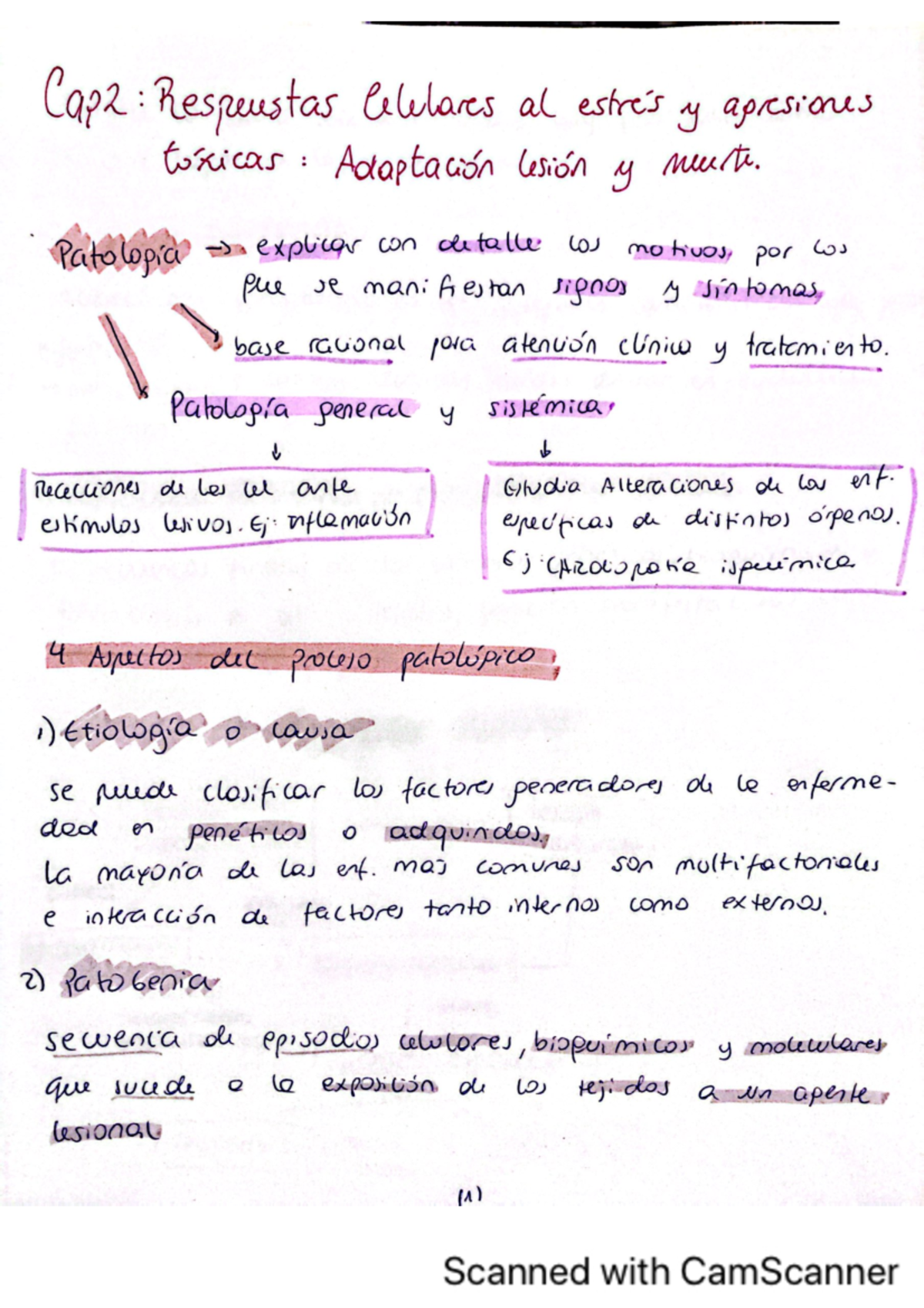 Fydo 1 cap 2 cotran - fydo - Cap2 Respeustas Celebares al y apresiones ...