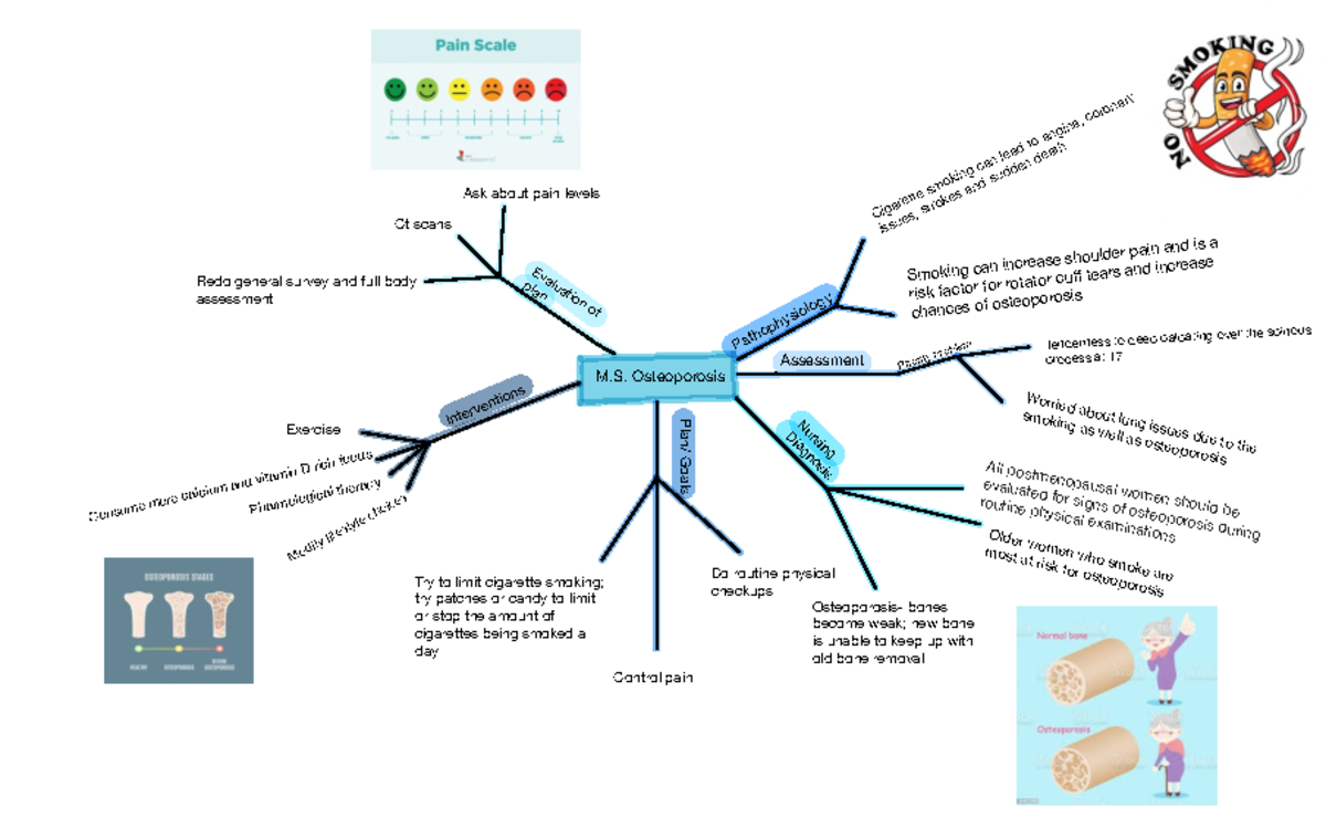 MycoVeda Energy main image 0
