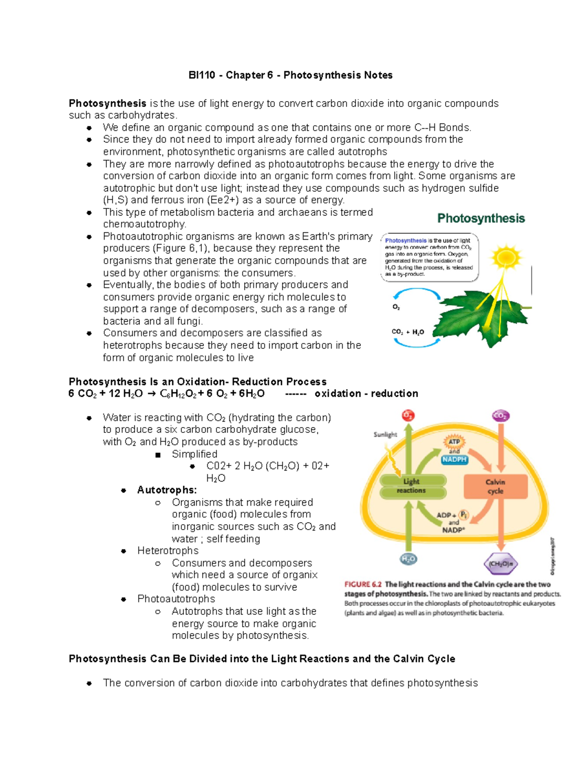 BI110 - Chapter 6 - Photosynthesis Notesv dfvrwr - BI110 - Chapter 6 ...