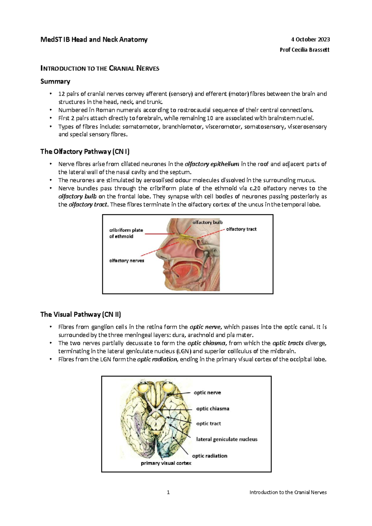 4 Oct 2023 Lecture Overview - MedST IB Head and Neck Anatomy 4 October ...