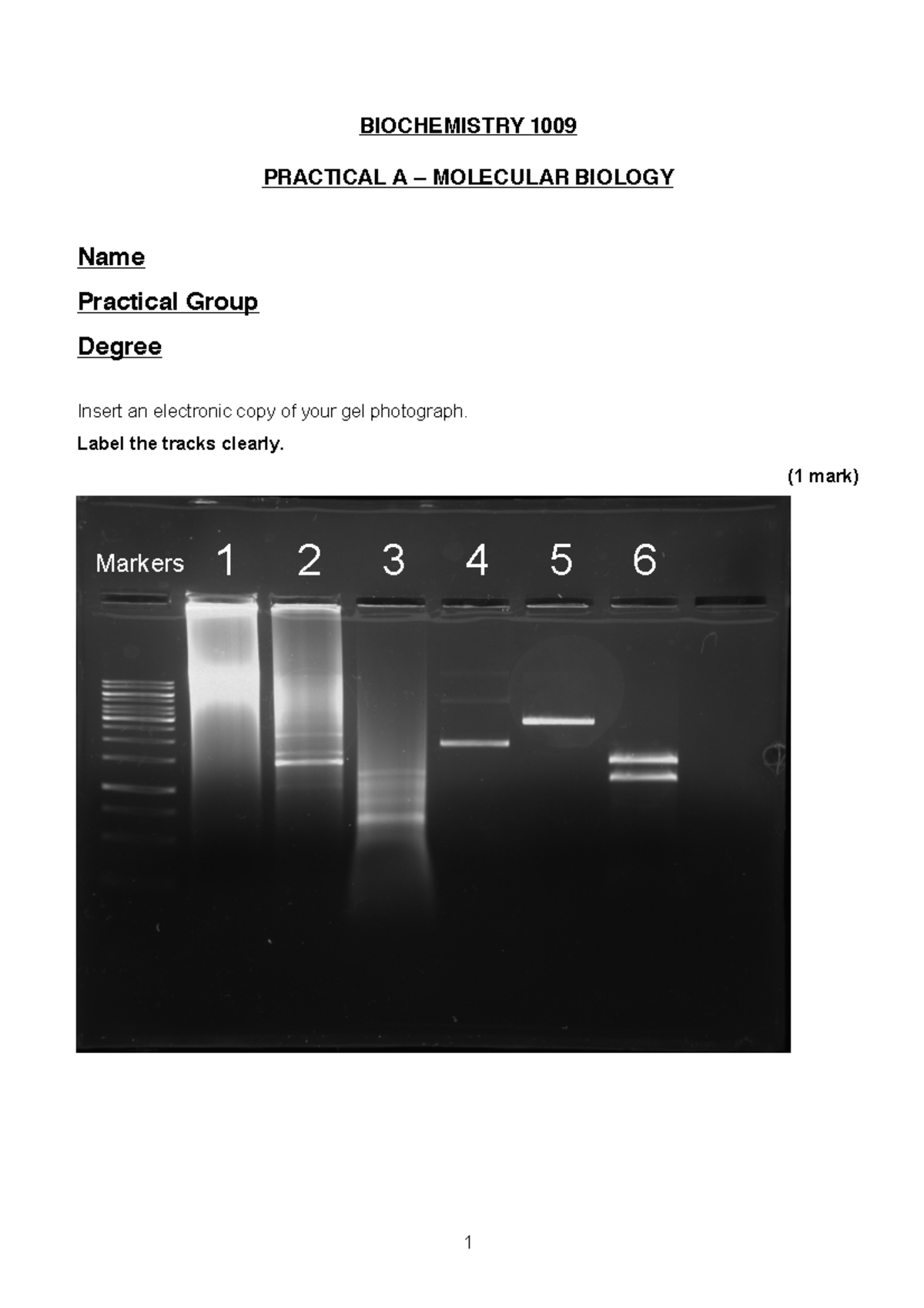 practical-label-the-tracks-clearly-1-mark-markers-1-2-3-4-1-5-6