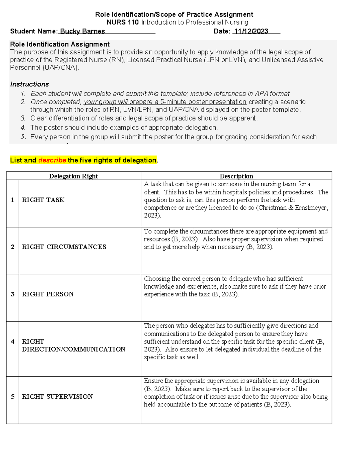 Role Idenitification Individual Scope of Practice Assignment Template ...