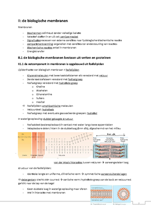 Oplossing Voorbeeldvragen Examen Sem 1 Celbiologie En Genetica 1e ...