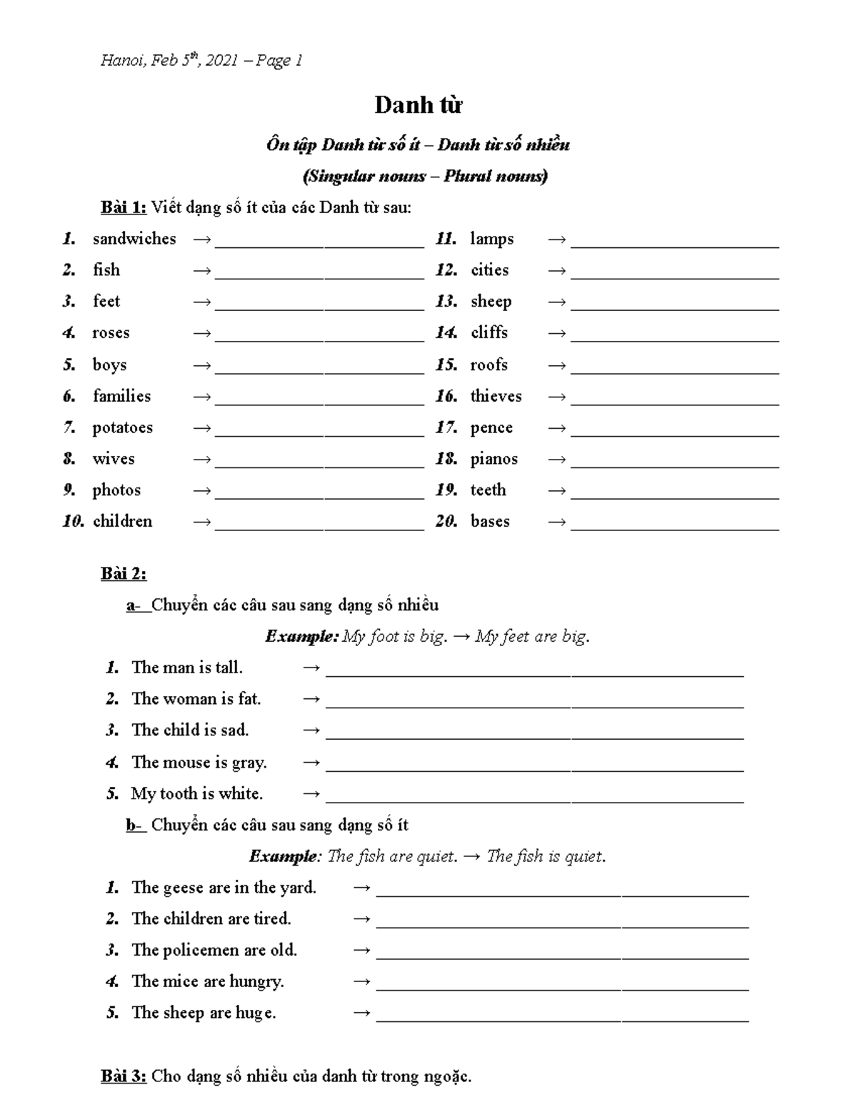 Nouns Singular + Plural Hanoi, Feb 5th, 2021 Page 1 Danh từ Ôn