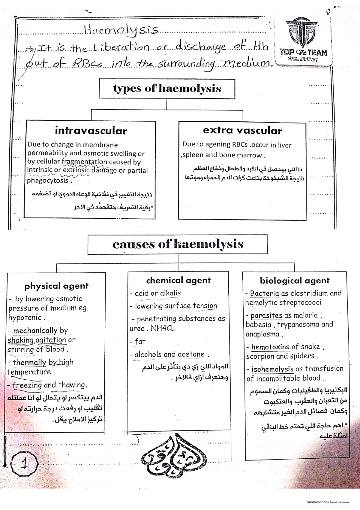 Physiology Course - Biochemistry - Studocu