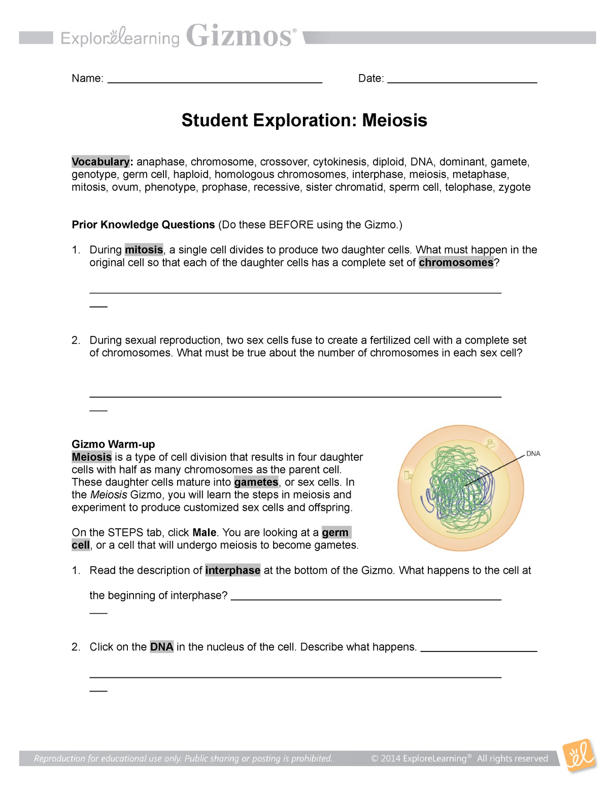 Student Exploration Meiosis Gizmo Answer Key / 2 - Calvin Manotty