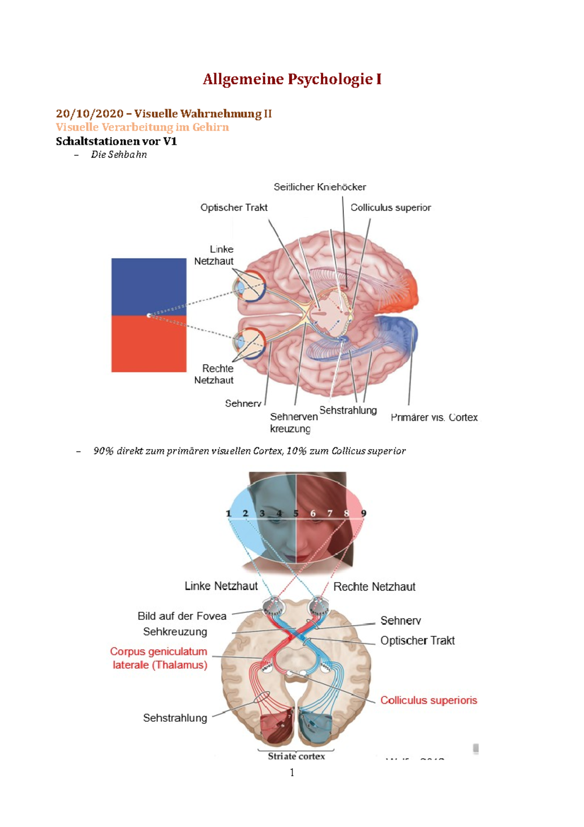20.10.2020 Visuelle Wahrnehmung II - Allgemeine Psychologie I 20/10 ...
