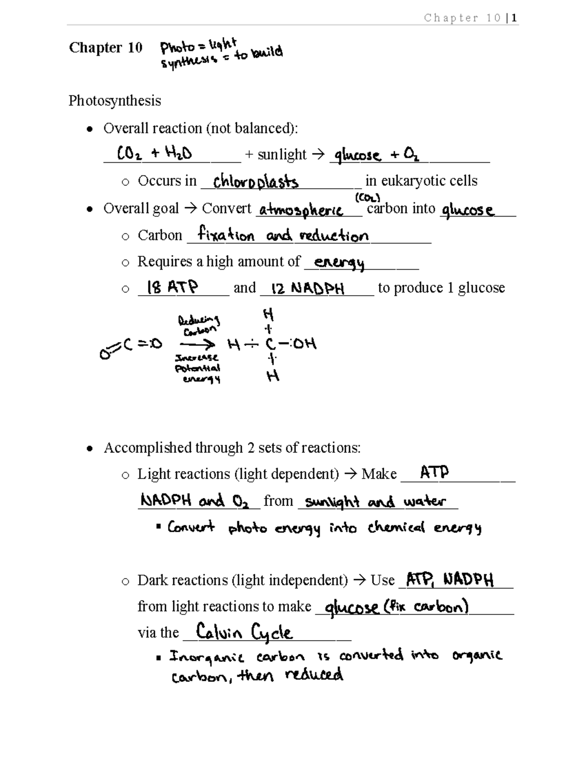 Chapter 10 Notes - Chapter 10 Photosynthesis Overall reaction (not ...