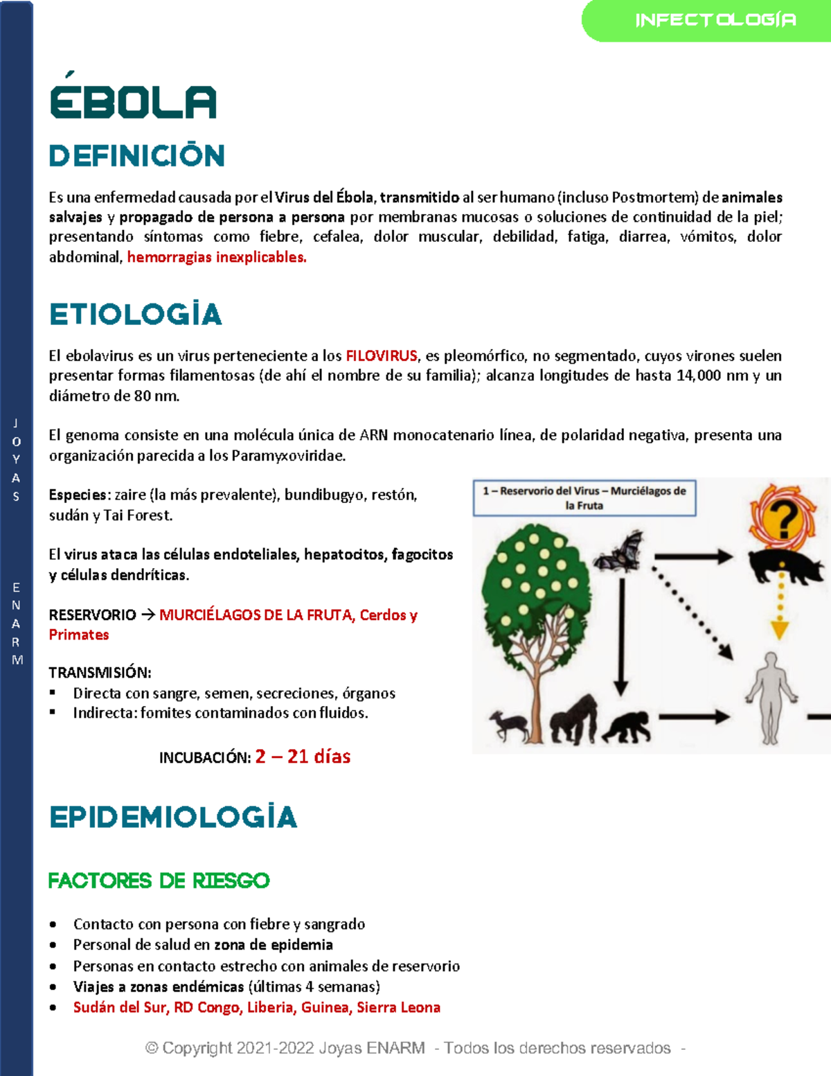 7. Ébola - J O Y A S E N A R M ́ EBOLA DEFINICIÓN Es una enfermedad ...