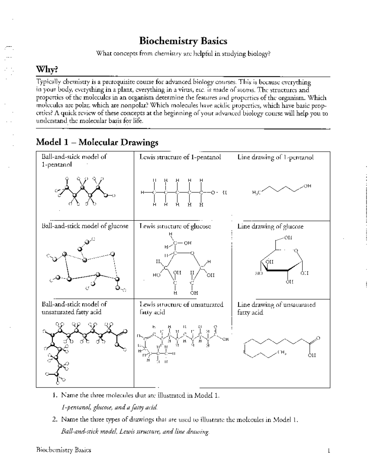 Pogil Biochem Basics - Biology 003 - Studocu pogil-biochem-basics-biology-003-studocu