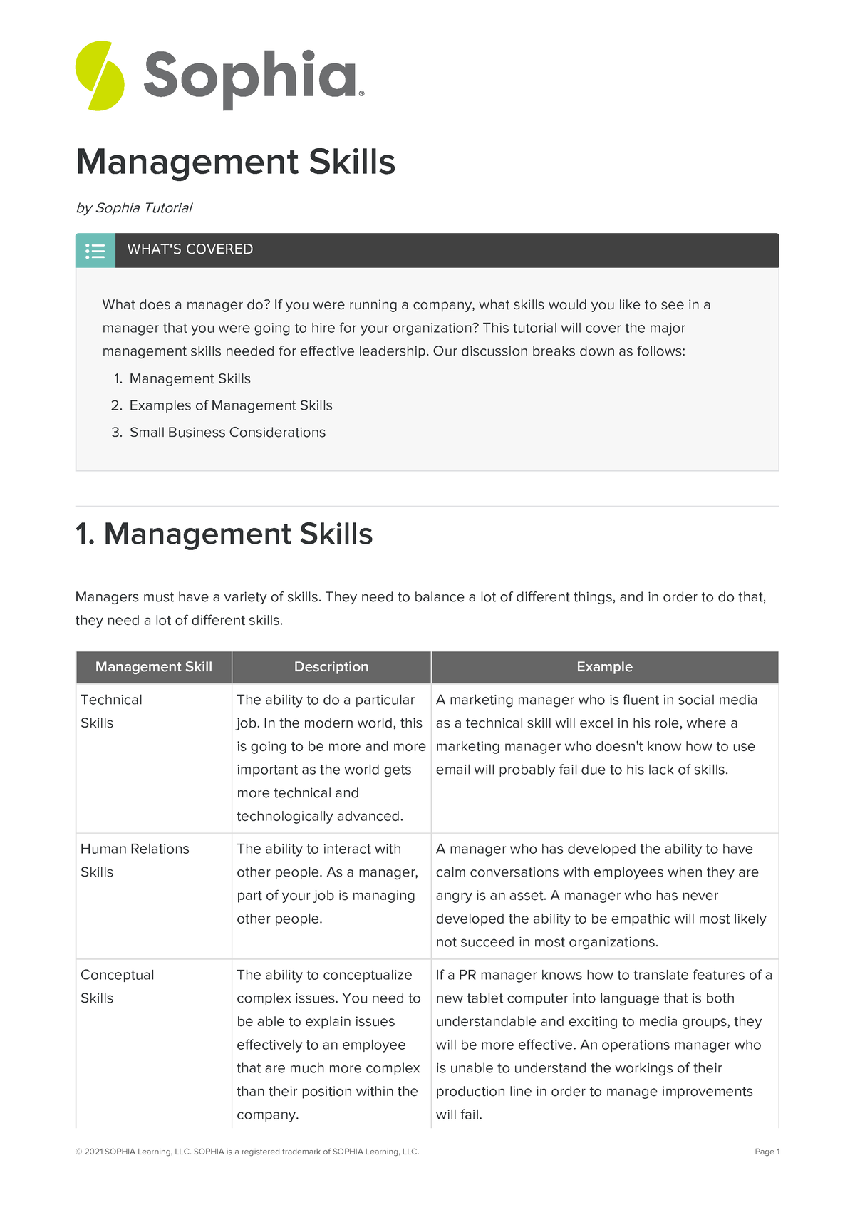 conceptual skills examples for managers