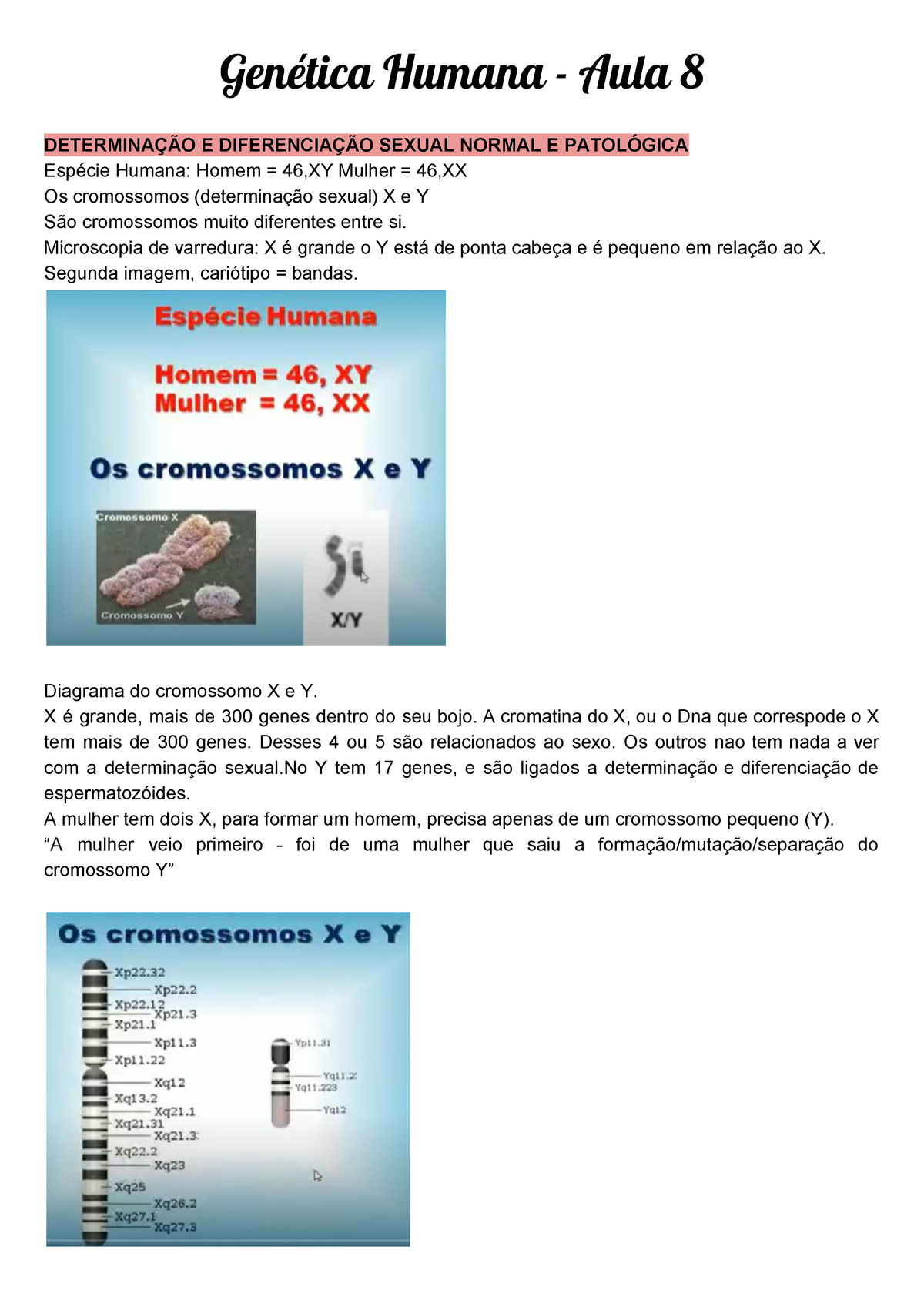 Genética Humana Determinação E Diferenciação Sexual Normal E Patológica Aula 8 Genética 9755