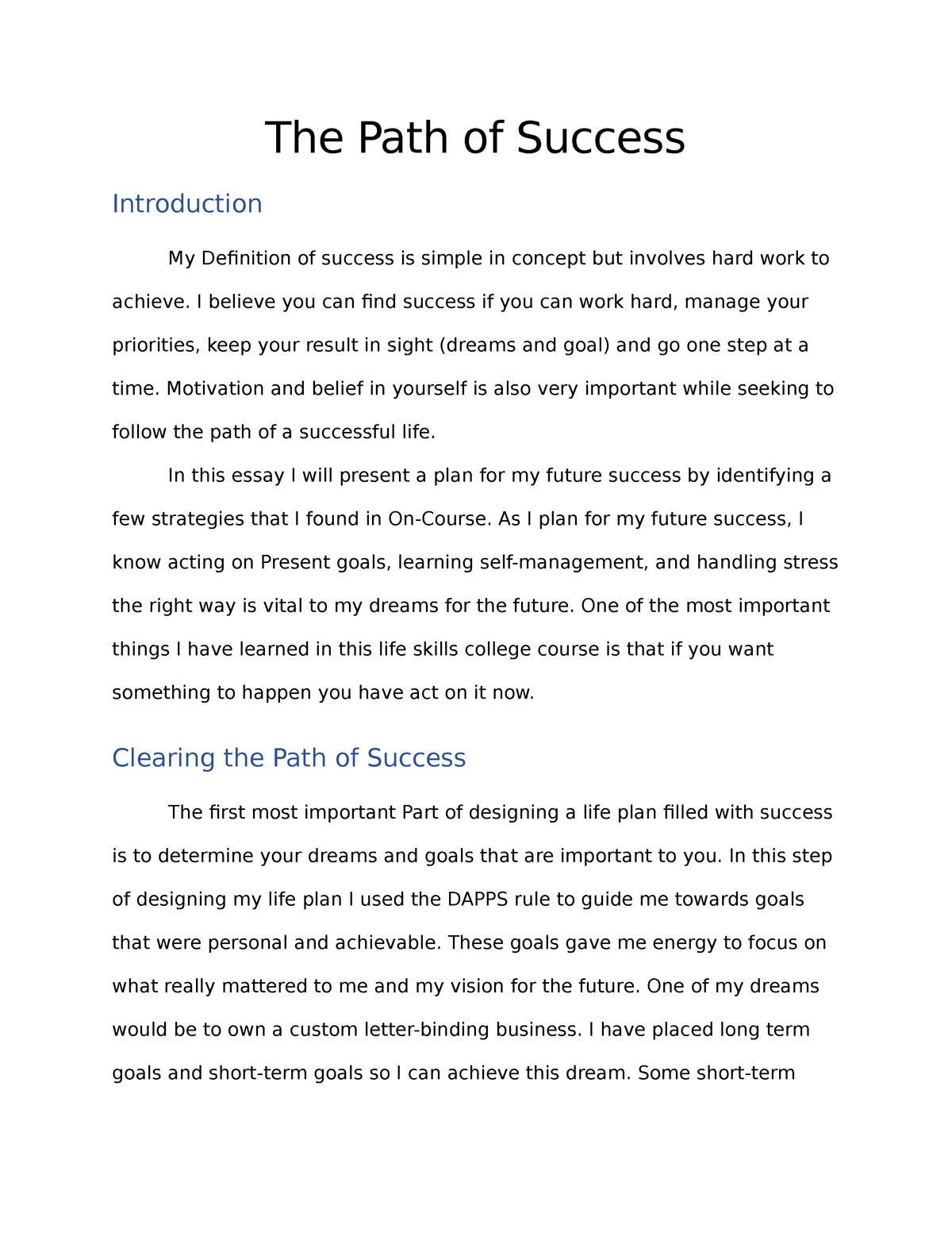 plan for success essay