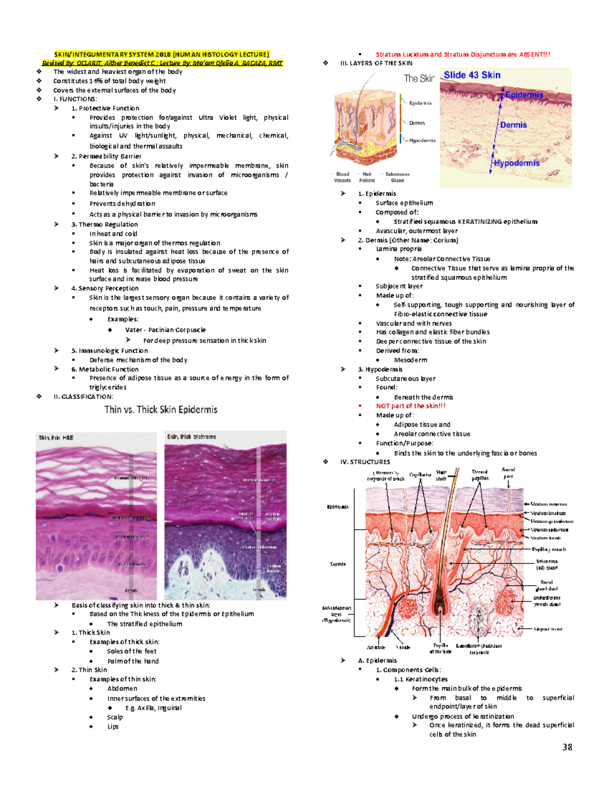 Skin-Oral Cavity 2018 - skin and oral - SKIN/INTEGUMENTARY SYSTEM 2018 ...