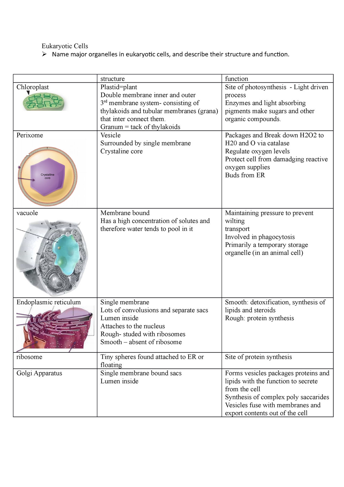 Cell orgenelles structure and function - Eukaryotic Cells Name major ...