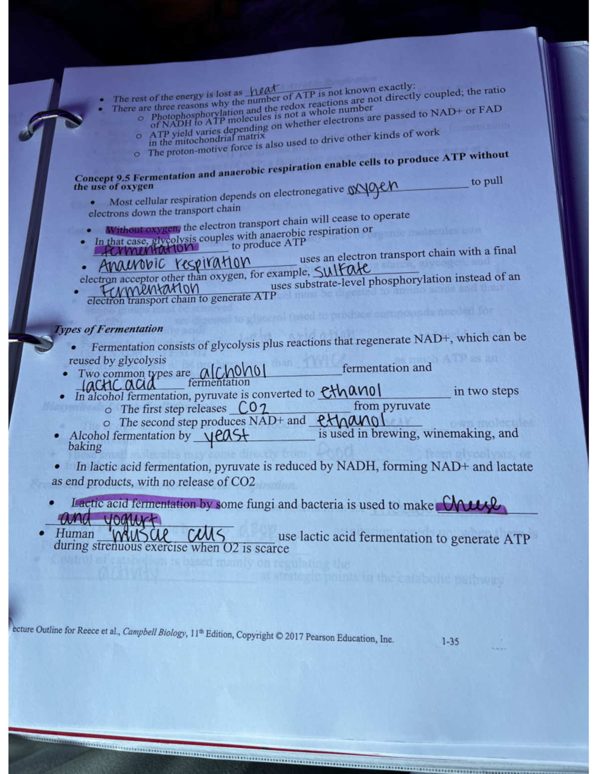 36 - biology lecture notes - BIO1134 - Studocu