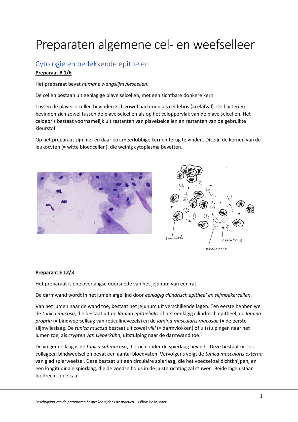Beschrijving Preparaten Voor Examen - 1 Preparaten Algemene Cel- En ...