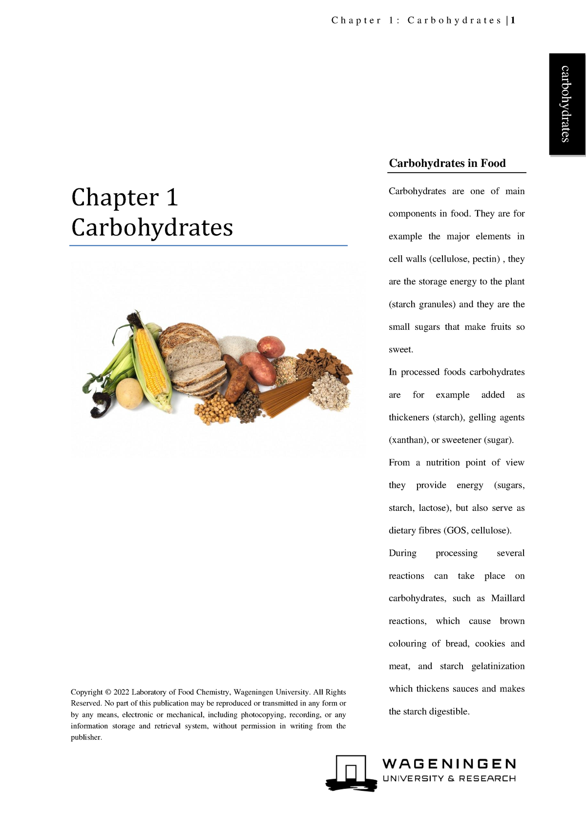 Chapter 1 Carbohydrates - C H A P T E R 1 : C A R B O H Y D R A T E S ...