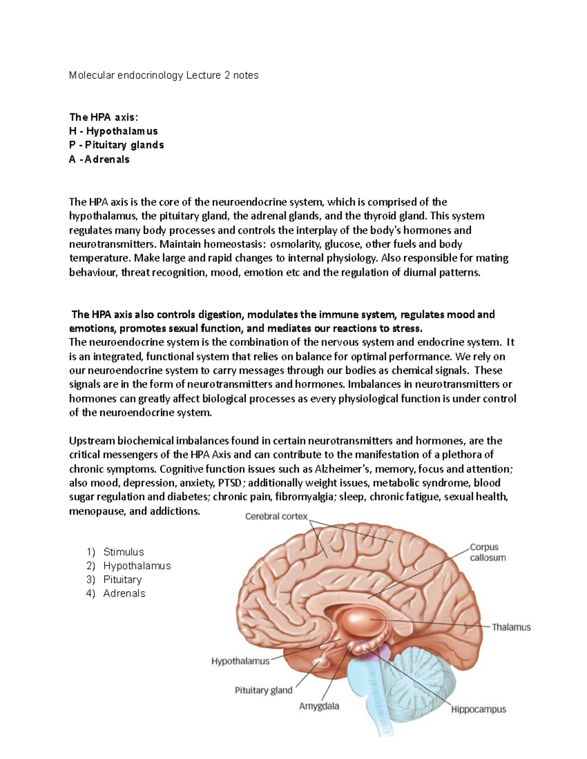 Molecular endocrinology Lecture 2 notes This system regulates many