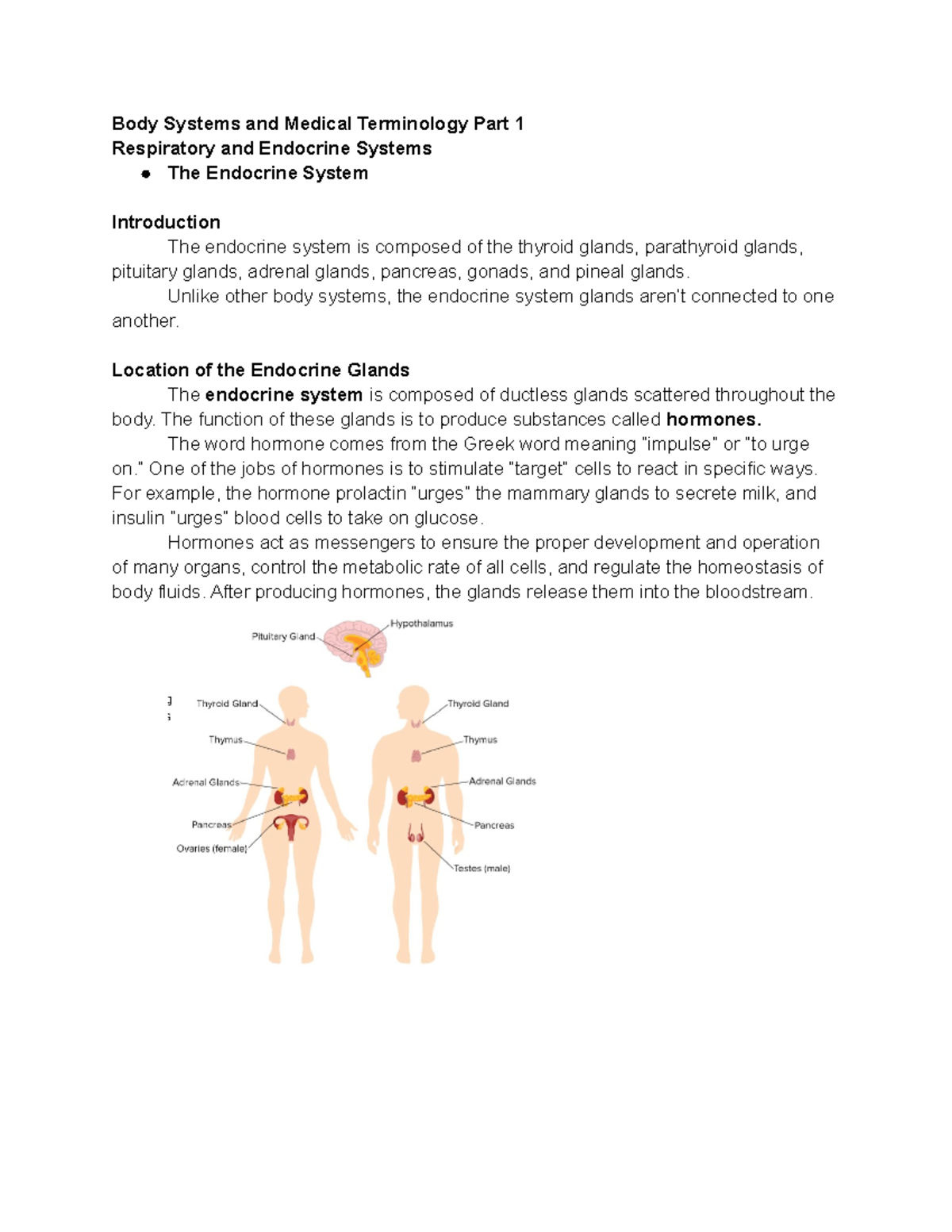 The Endocrine System Body Systems and Medical Terminology Part 1