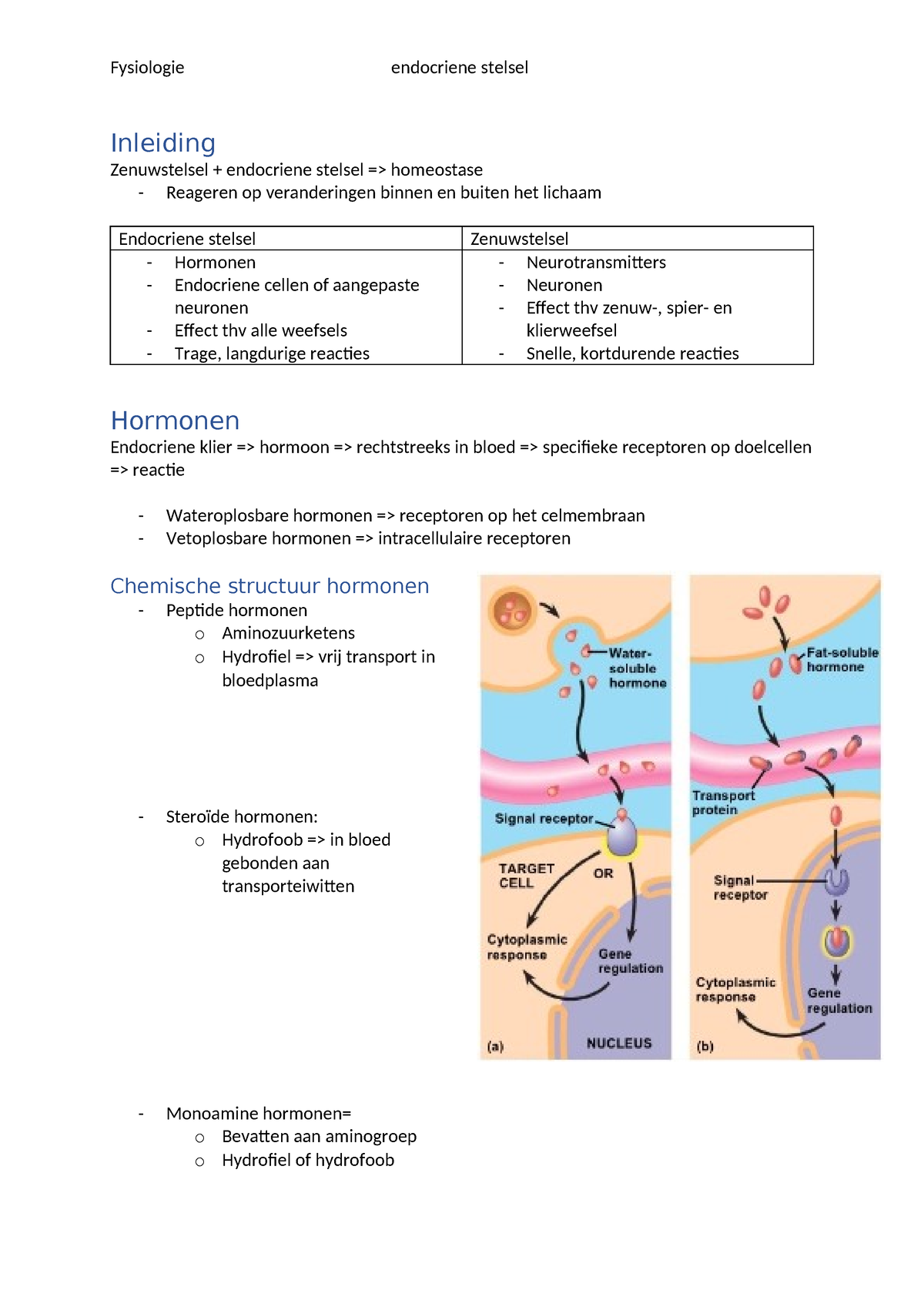 Endocrien Stelsel Summary Fysiologie Inleiding Zenuwstelsel Endocriene Stelsel Studocu